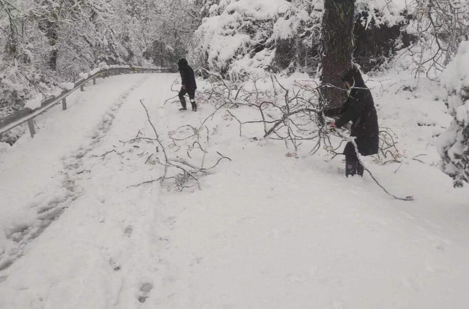 打好安全生产翻身仗｜罗卜田乡：快速清理被积雪压断的树枝 确保道路畅通