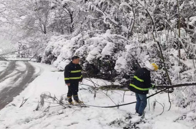 土桥镇：积极应对暴雪天气，确保群众生命财产安全