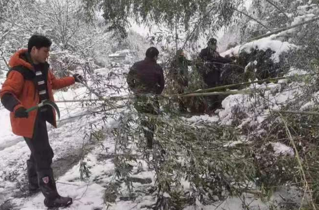 芷江应急管理局：众志成城战冰雪