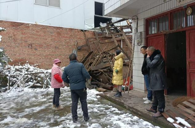新店坪镇：党员干部齐上阵 除雪抗寒护平安