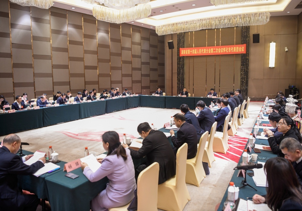 怀化市代表团举行第七次、第八次全体会议