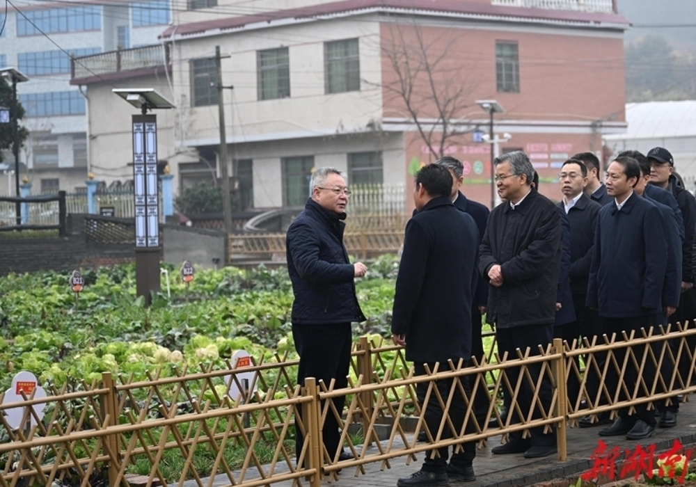 沈晓明在邵阳衡阳专题调研“三农”工作