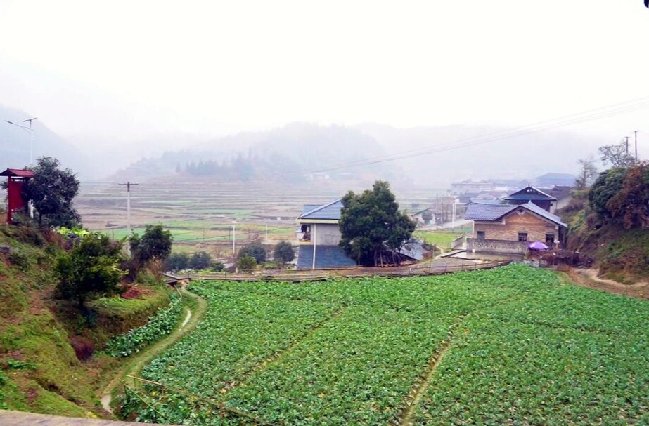 芷江方言祝新年——冷水溪乡