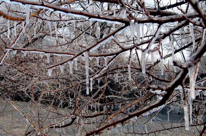 湖南发布低温雨雪冰冻橙色预警！冻雨、雨夹雪或雪齐登场！出行需特别注意