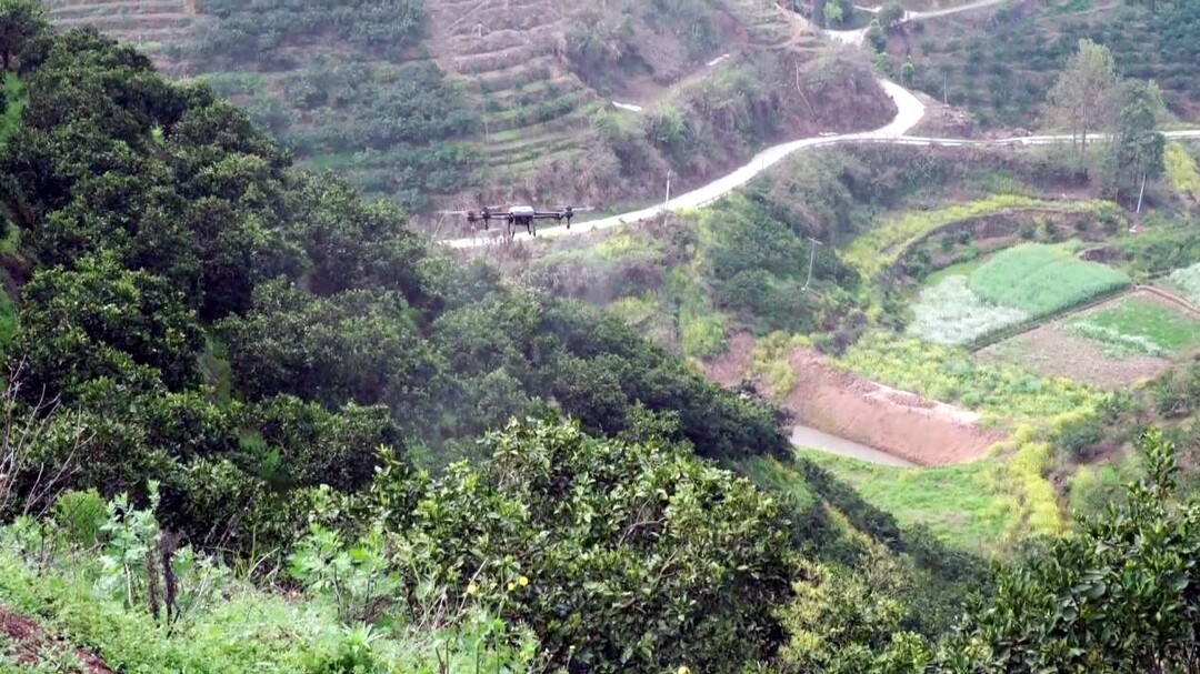 芷江方言祝新年——罗卜田乡枣子山村