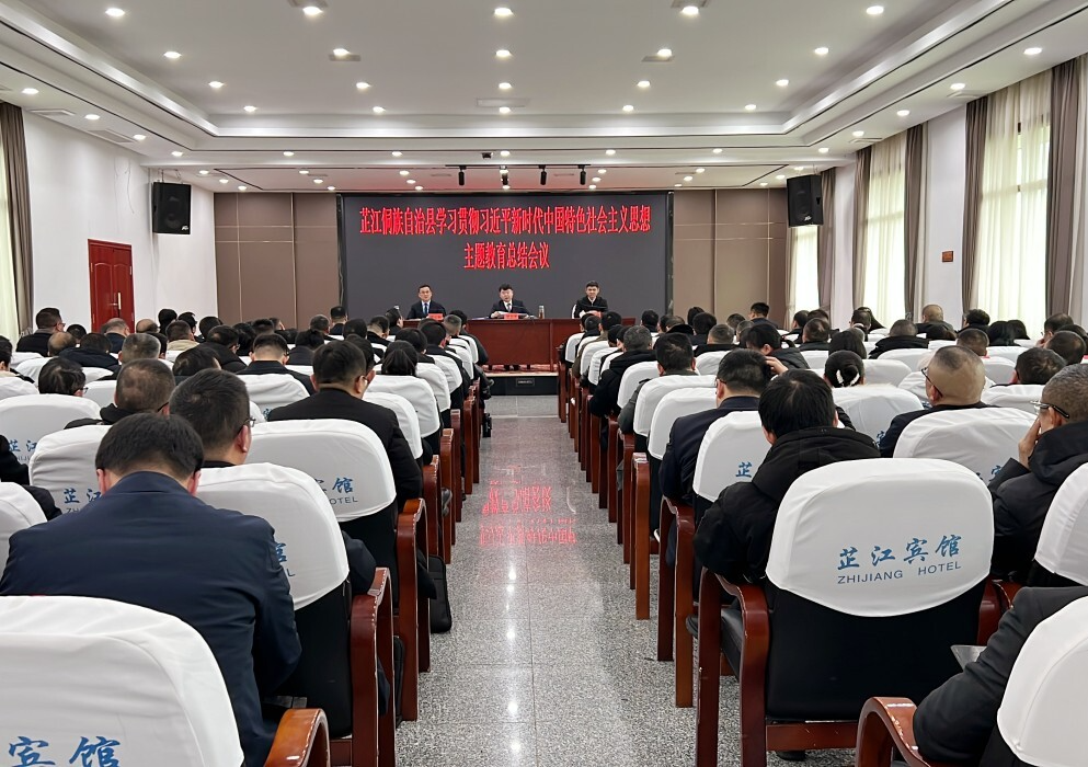 学习贯彻习近平新时代中国特色社会主义思想主题教育总结会议召开
