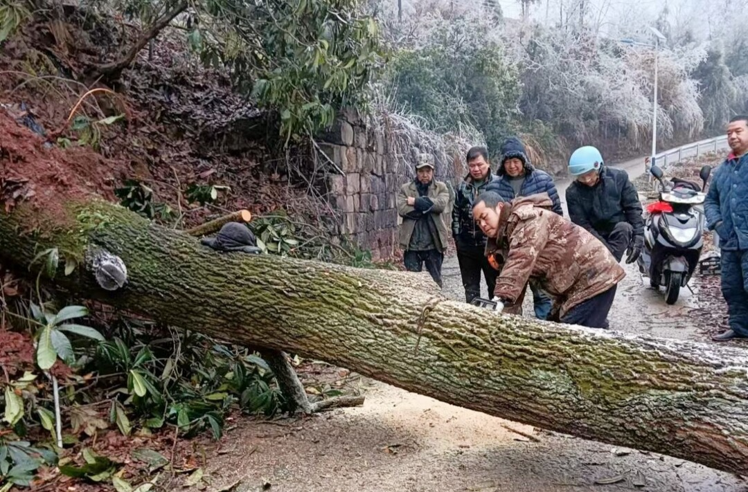 洞下场乡：清路障 保畅通 暖民心