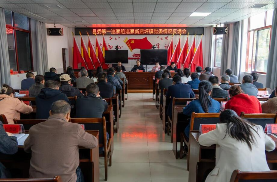县委第一巡察组向新店坪镇党委反馈巡察情况