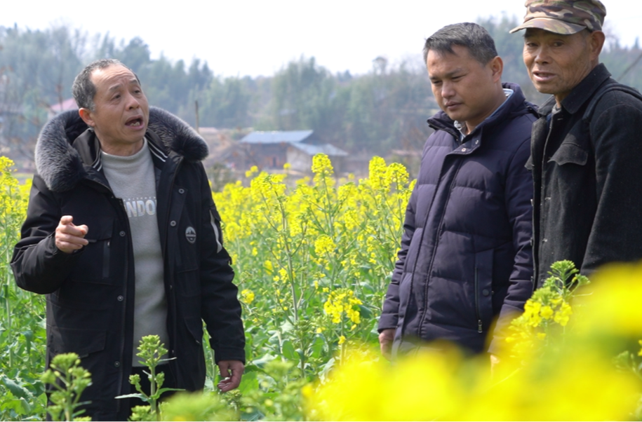 芷江：备足春耕物资 农技人员服务到田间地头
