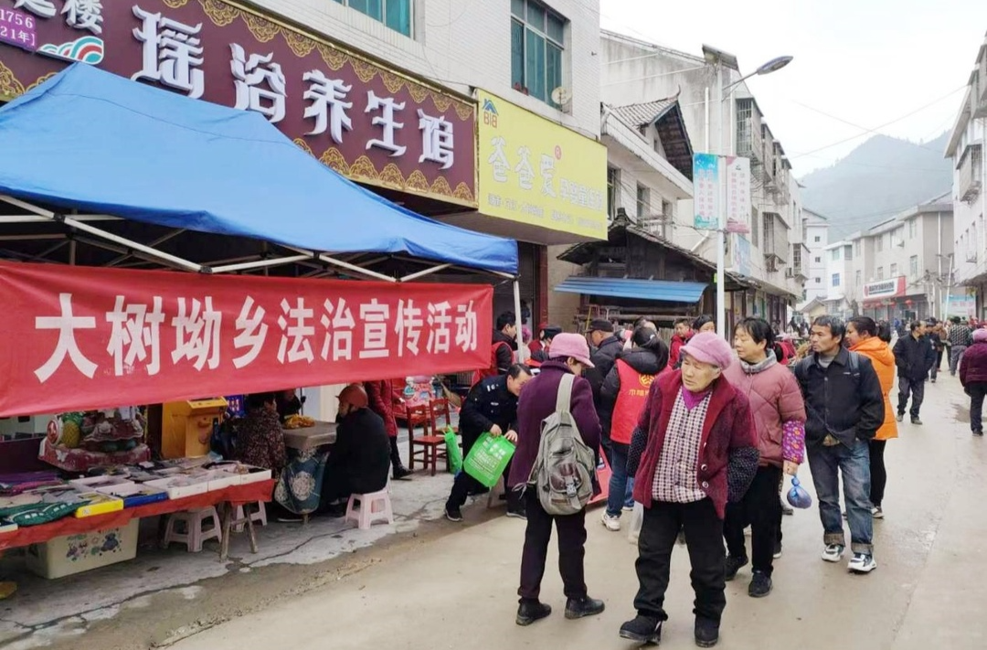 大树坳乡：助力法治文化建设 筑牢群众安全防线