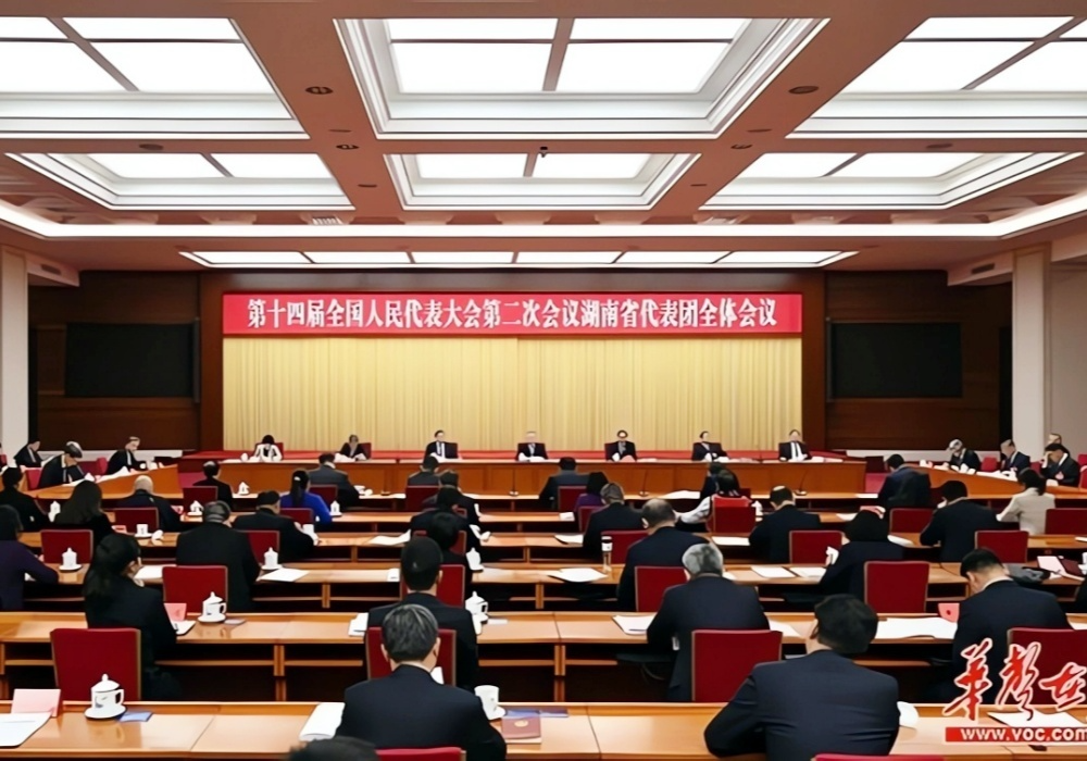 湖南代表团举行第二次全体会议