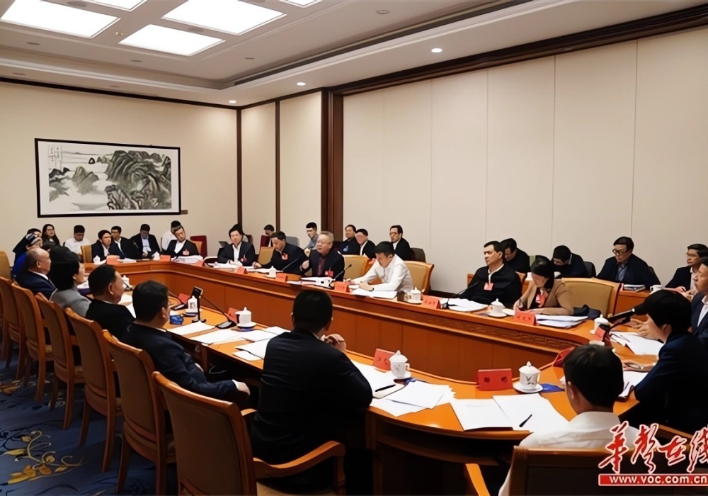 湖南代表团举行分组会议 沈晓明毛伟明李殿勋等参加讨论