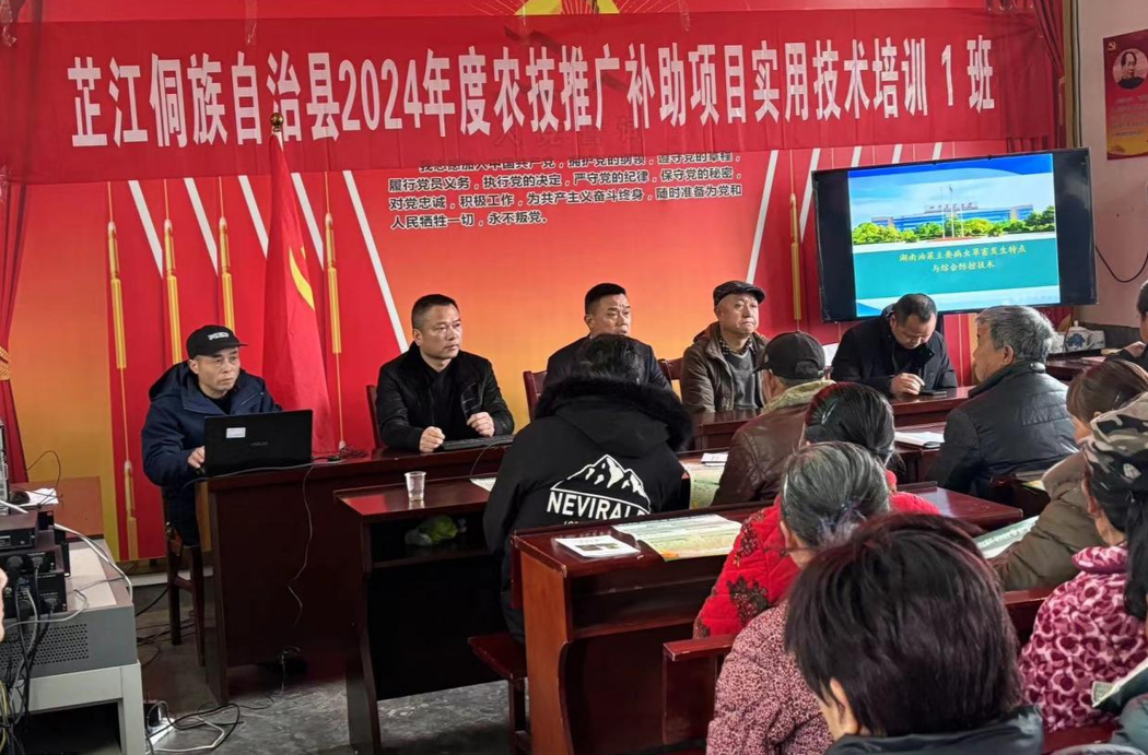 芷江镇：开展油菜菌核病防治技术培训会