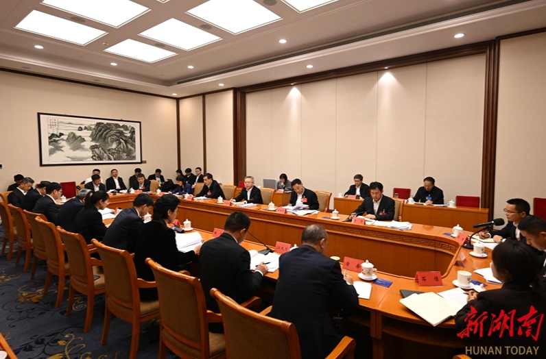 湖南代表团举行分组会议 审议国务院组织法修订草案