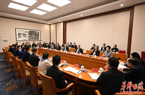 湖南代表团举行分组会议 审议全国人大常委会工作报告