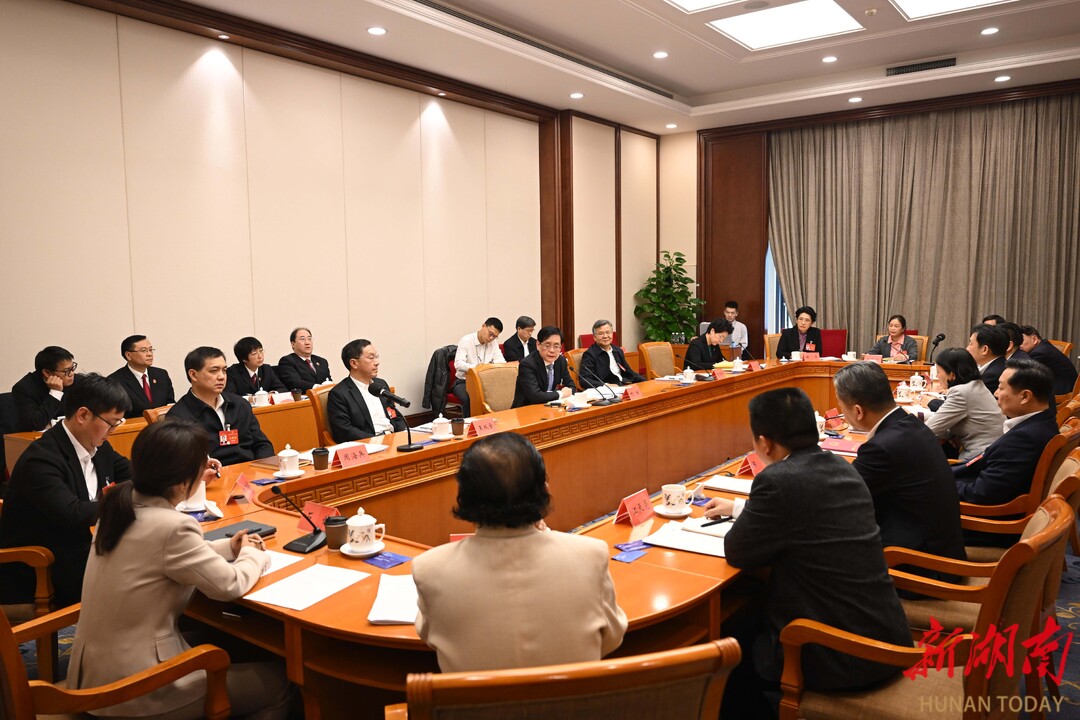湖南代表团举行分组会议