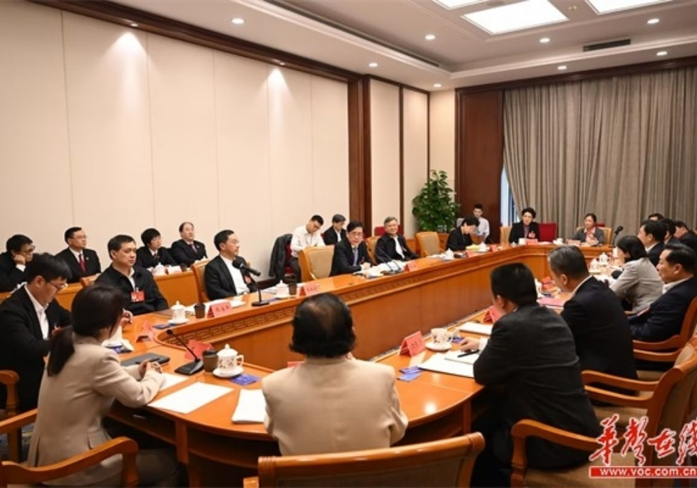 湖南代表团举行分组会议