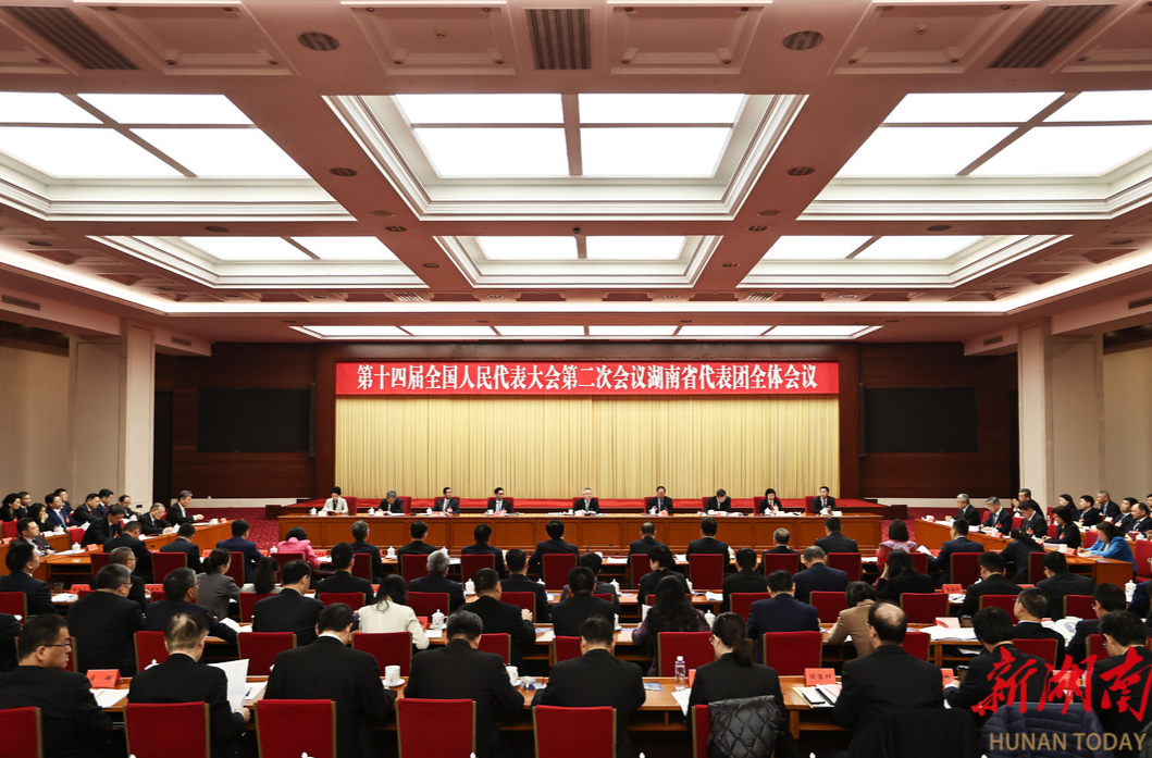 湖南代表团举行第五次全体会议