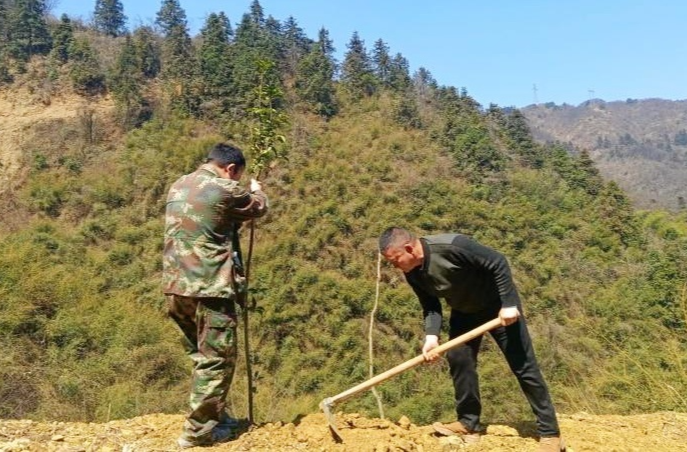 牛牯坪乡：春光无限好，携手添新绿
