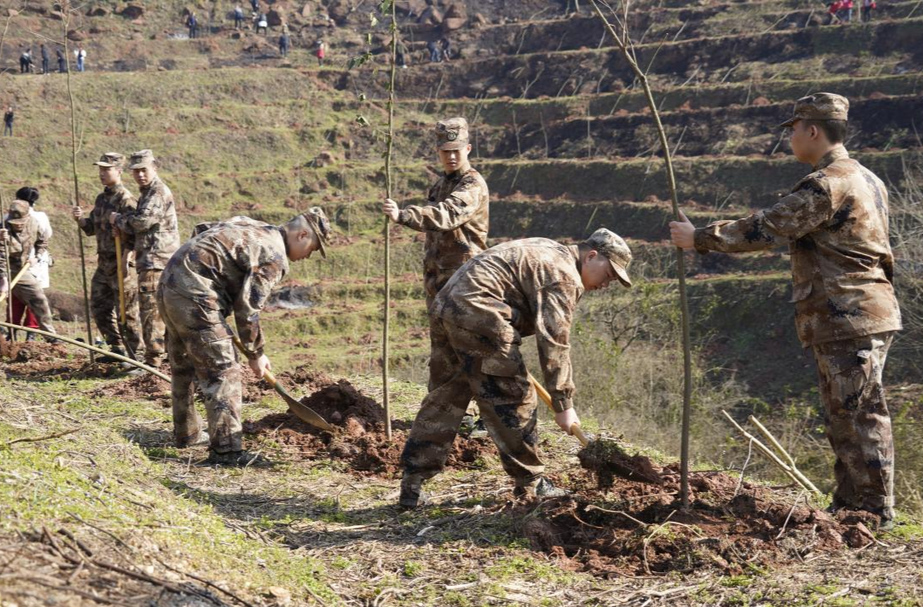 芷江人武部组织“准新兵”开展植树活动 为绿色未来贡献力量