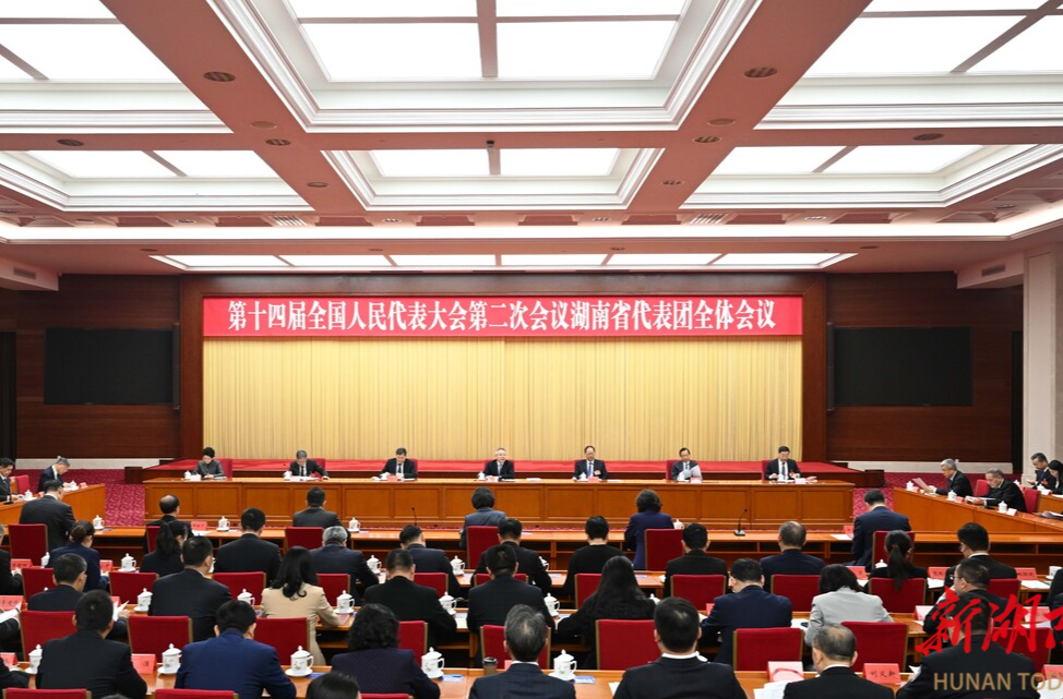 湖南代表团举行分组会议和第六次全体会议