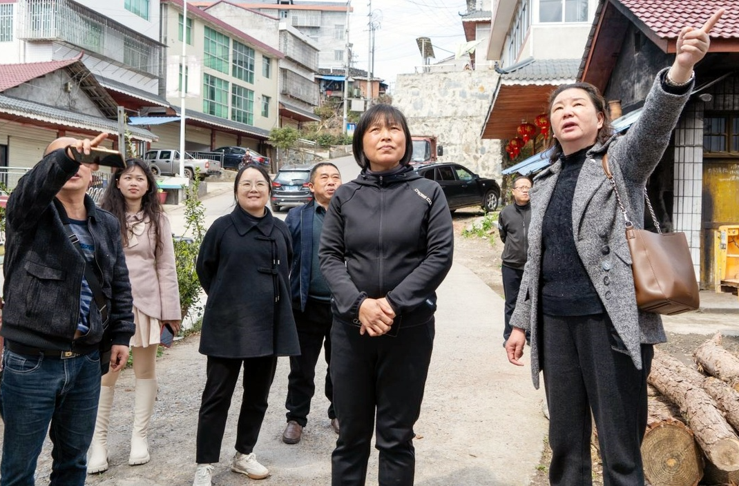 杨桂花深入洞下场乡调度创建国家卫生乡镇现场评审验收工作