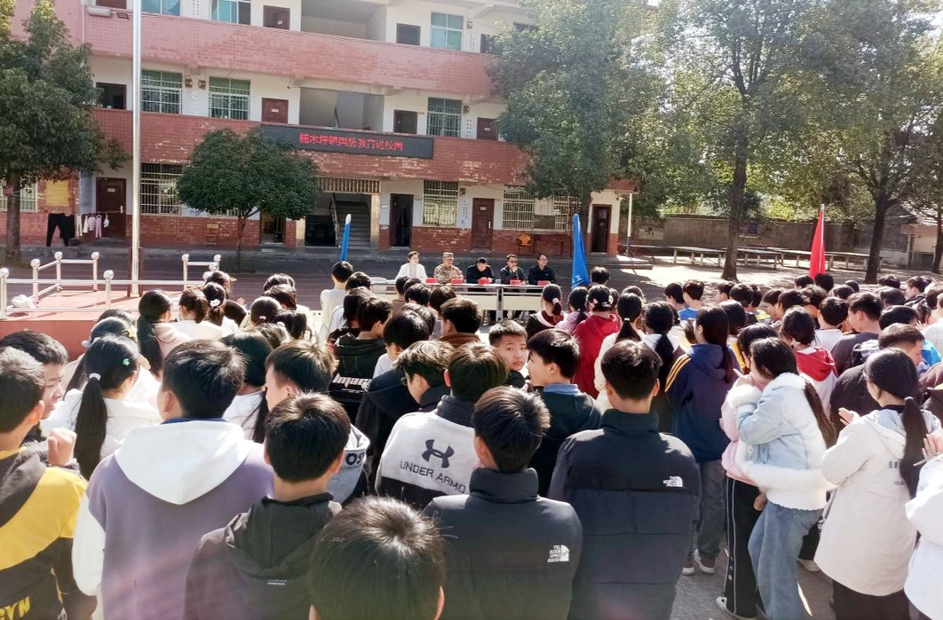 楠木坪镇：国防教育进校园，点燃少年强国梦