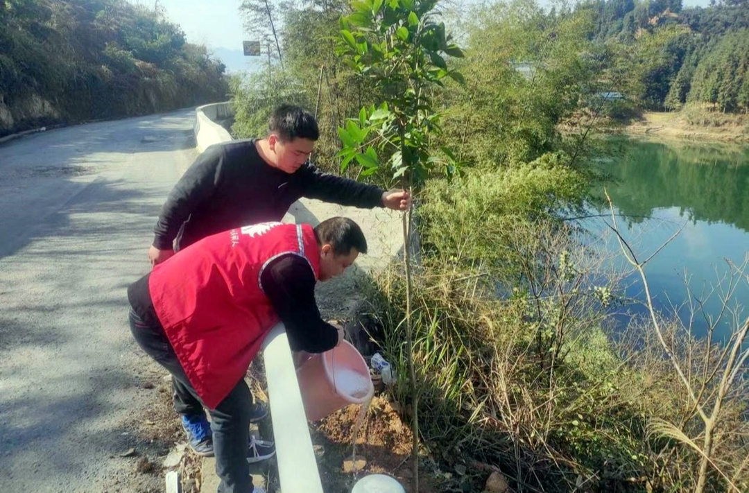 冷水溪乡开展春季义务植树活动