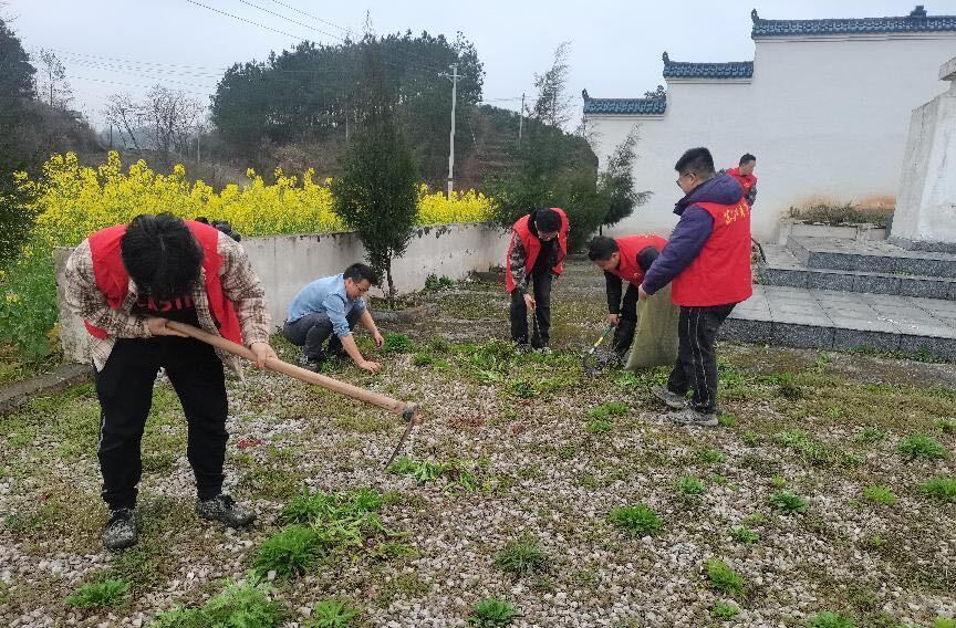 禾梨坳乡：阳春三月学雷锋 植树爱卫我先行