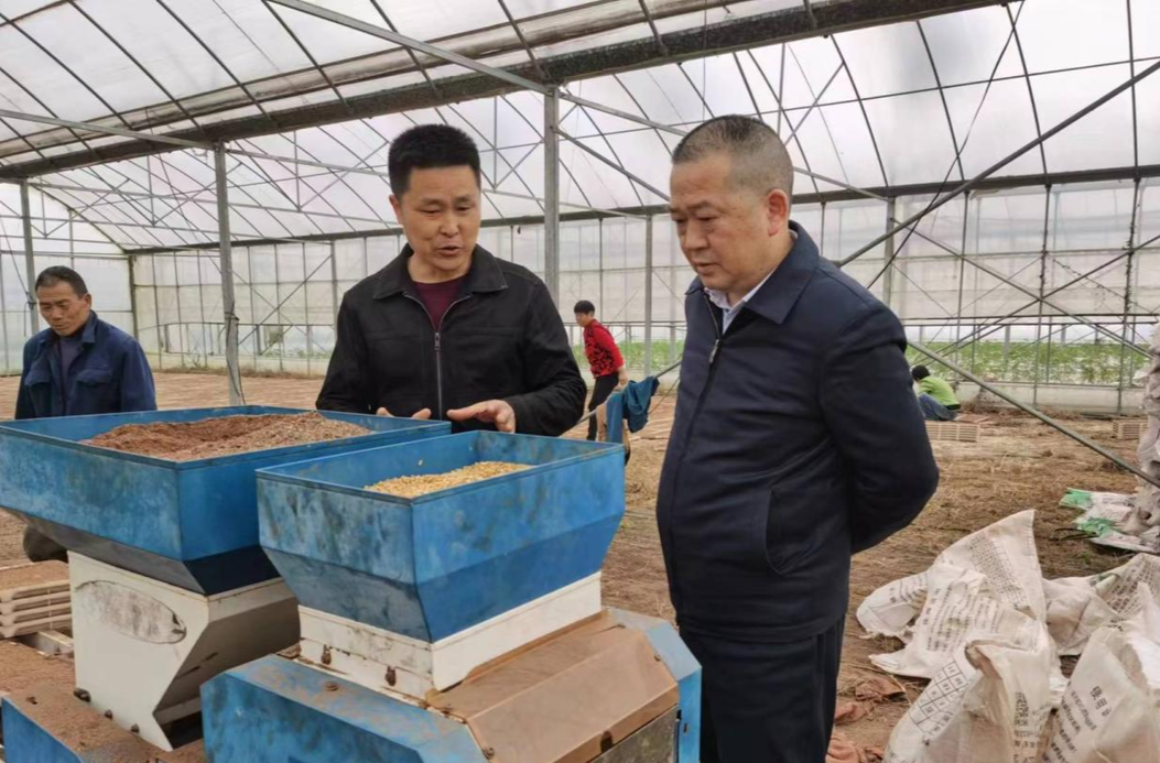 芷江：水稻集中育秧现场培训 助力春耕生产提质增效