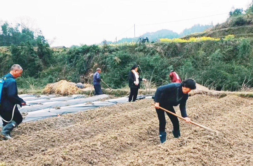 梨溪口乡：助力春耕备耕，做好民生实事