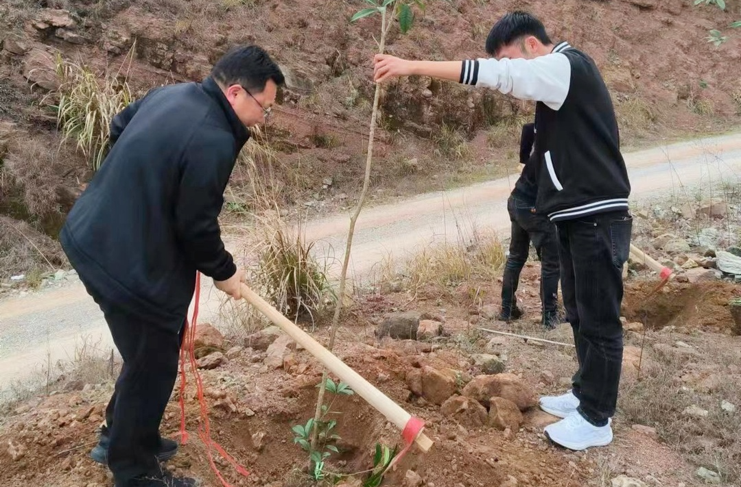 芷江城建投：不负春光添新绿 共建美丽新芷江