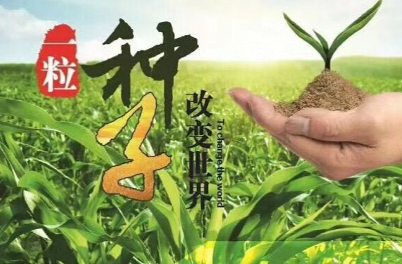 “献策湖南”金点子 | 打造“一粒种子·改变世界”农耕文化旅游名片
