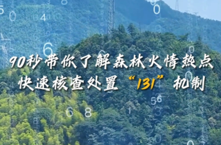 90秒带你了解森林火情热点快速核查处置“131”机制