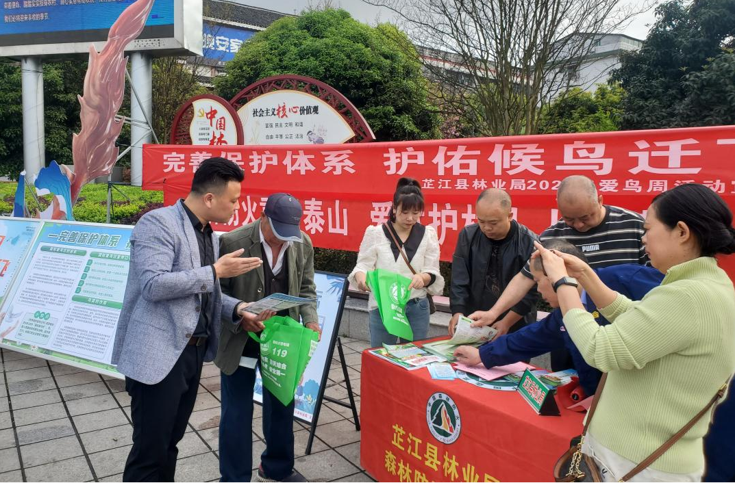 “芷江林业”守护“林间天使”入青绿