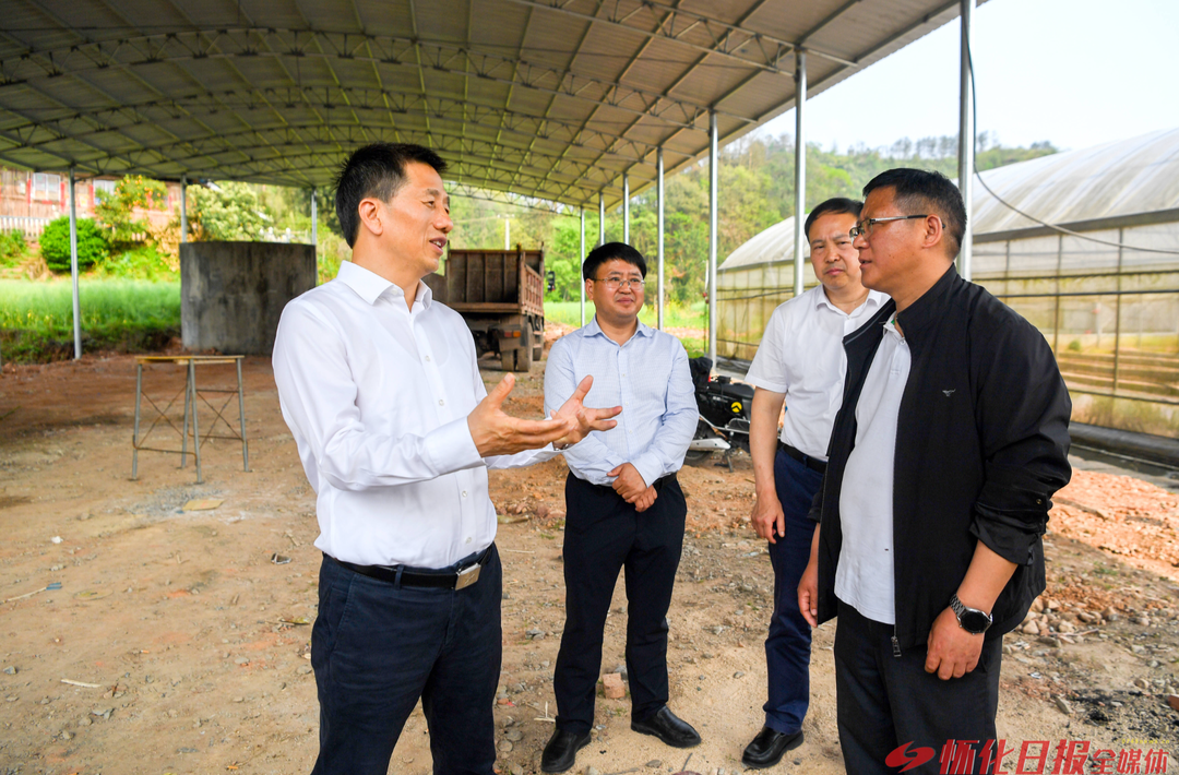 许忠建在芷江乡村督导检查工作时强调：抓紧抓好春耕春种工作 夯实粮食稳产增收基础