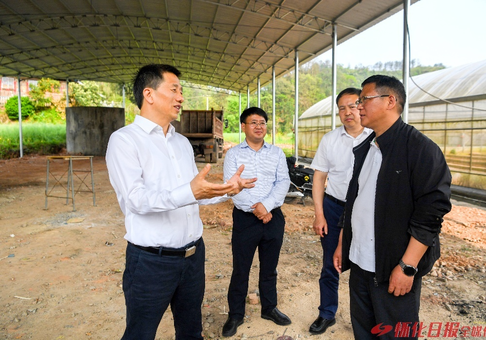 许忠建：夯实粮食稳产增收基础