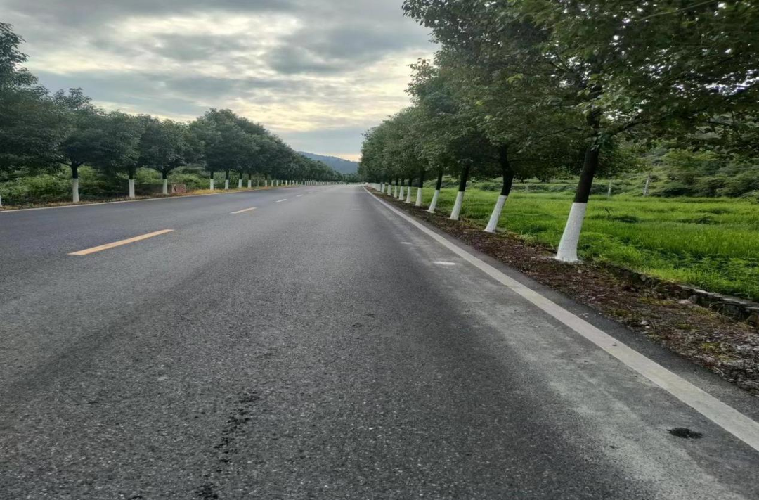 芷江国省干线路面技术状况获评全省第一