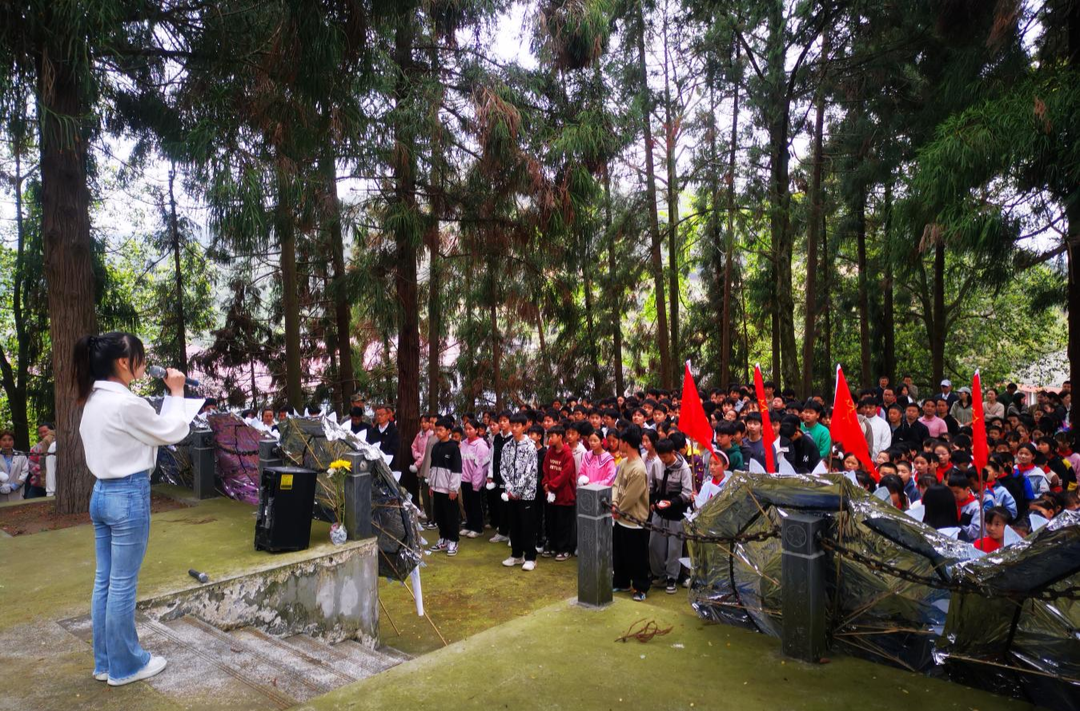 大树坳乡组织开展清明祭先烈国防教育实践活动