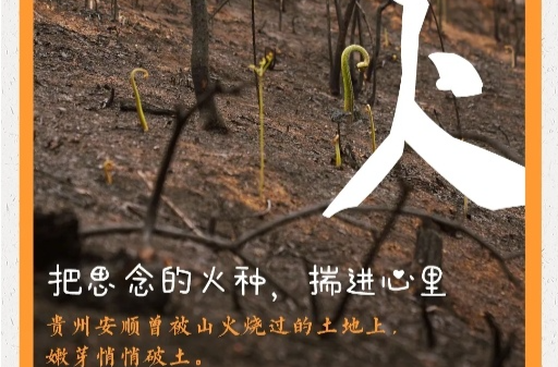 6大清明假期安全“关键字” 这份安全提示请收好！