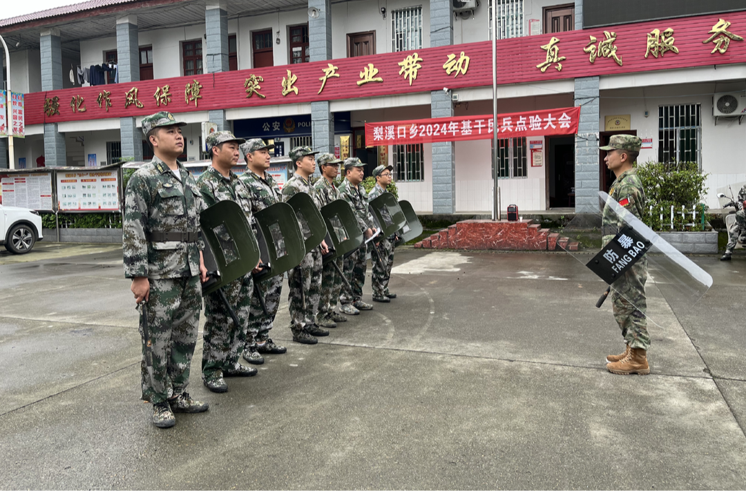 拉得出  用得上  打得赢   梨溪口乡开展基干民兵点验