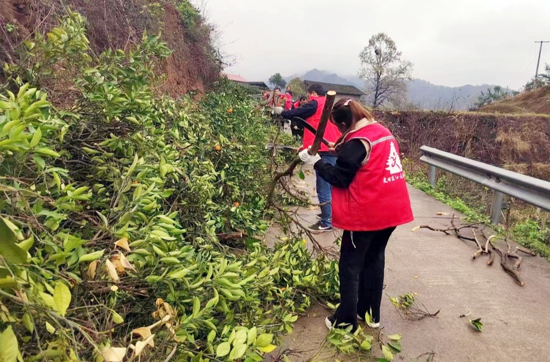 罗卜田乡清理遮挡视线树枝 消除道路交通安全隐患