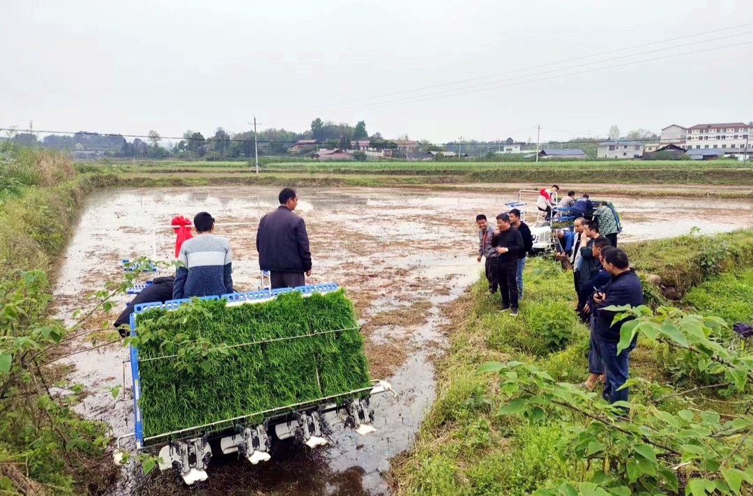 芷江农业农村局举办全县农业合作社农机驾驶员免费培训