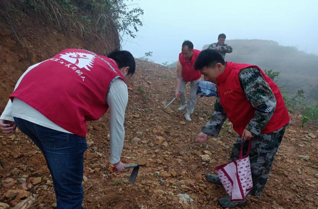 牛牯坪乡：青春种植行动 推进耕地抛荒整治
