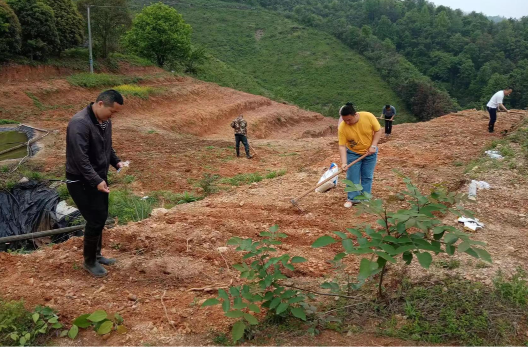 罗卜田乡：推进抛荒治理 积极复耕复种