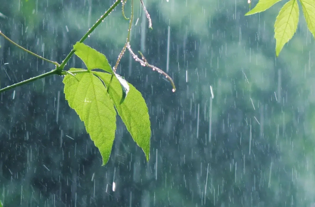 气象报告|芷江未来一周晴雨相间气温较平稳  24日、28—29日有较强降雨和强对流天气