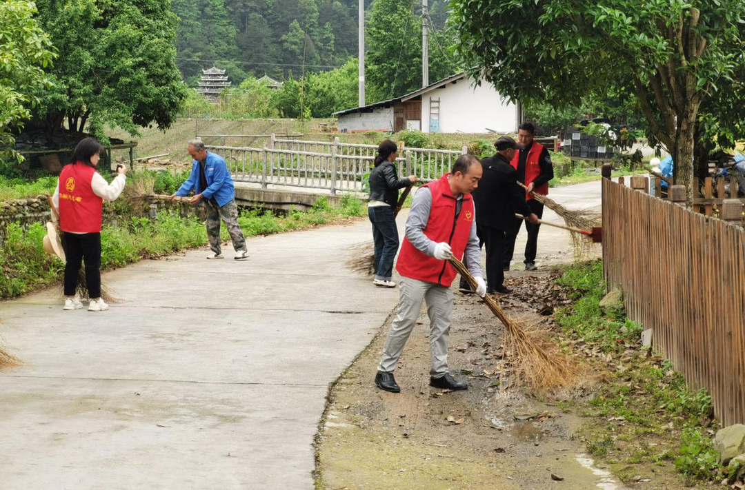三道坑管理所：齐心整治景区环境，绘就美丽生态画卷