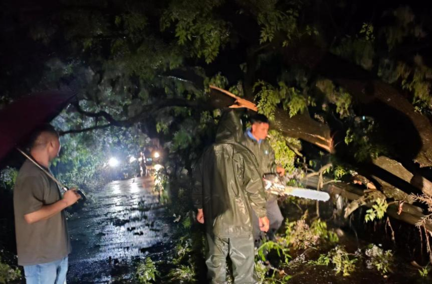 水宽乡：雨中显担当 清障保畅通