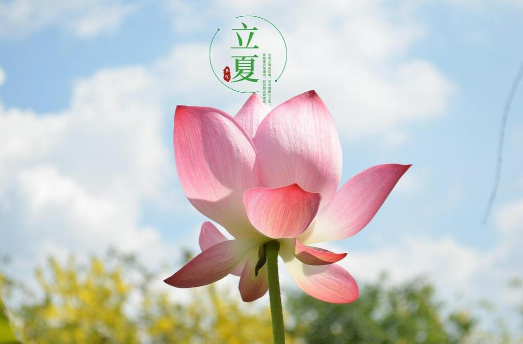 立夏节气，一图看全国哪里气温飙升夏将近