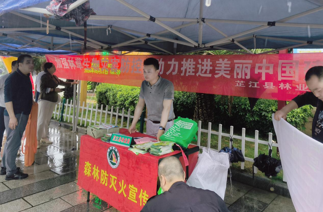芷江林业局开展2024年林草生物灾害 防控宣传周活动